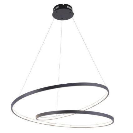 Paul Neuhaus 2474-18 - LED Prigušivi luster na sajli ROMAN LED/40W/230V crna