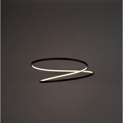 Paul Neuhaus 2474-18 - LED Prigušivi luster na sajli ROMAN LED/40W/230V crna