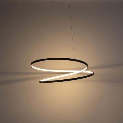 Paul Neuhaus 2474-18 - LED Prigušivi luster na sajli ROMAN LED/40W/230V crna