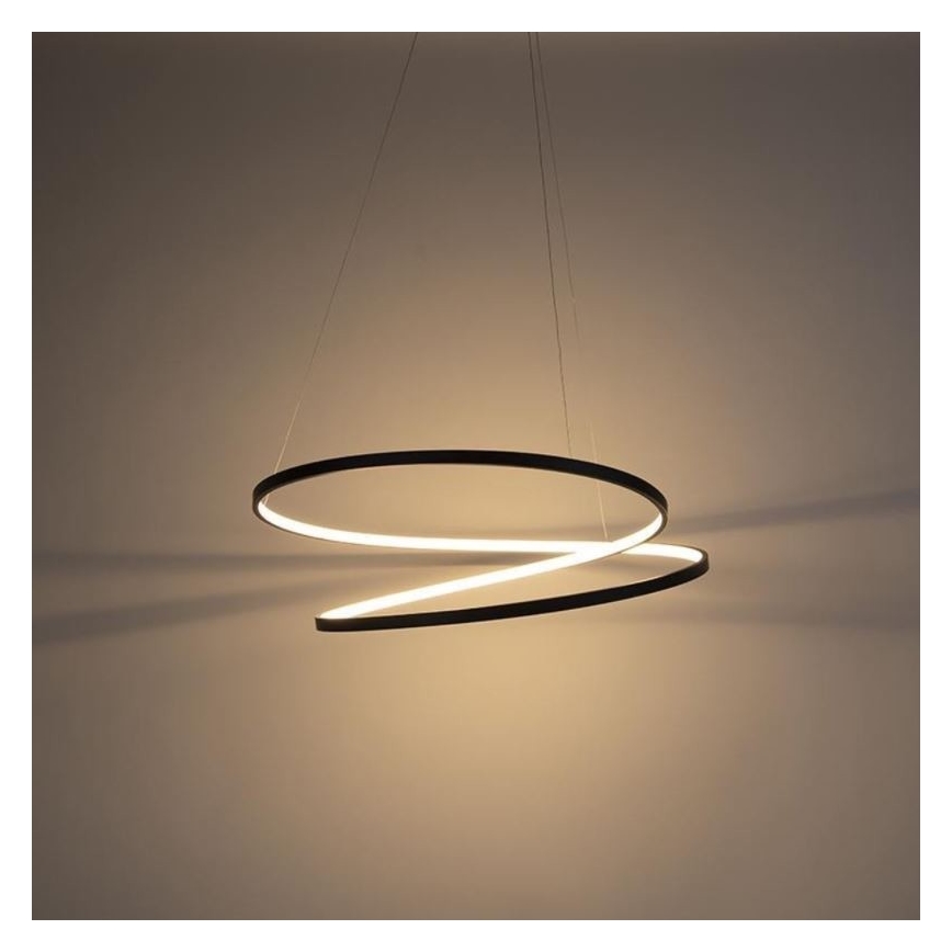 Paul Neuhaus 2474-18 - LED Prigušivi luster na sajli ROMAN LED/40W/230V crna
