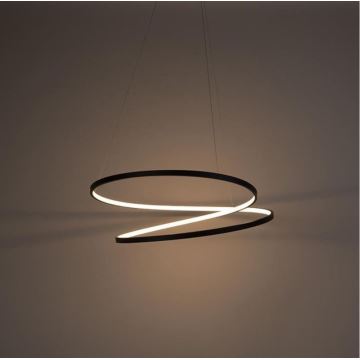 Paul Neuhaus 2474-18 - LED Prigušivi luster na sajli ROMAN LED/40W/230V crna