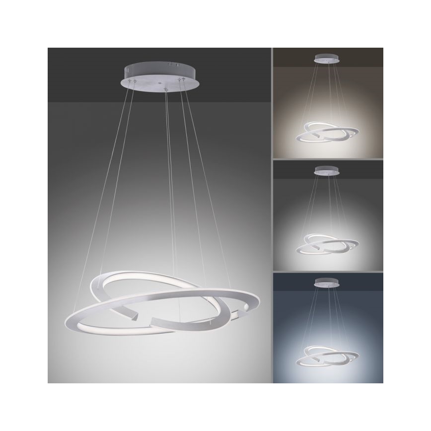 Paul Neuhaus 2491-55 - LED Prigušivi luster na sajli ALESSA 2xLED/26W/230V + DU