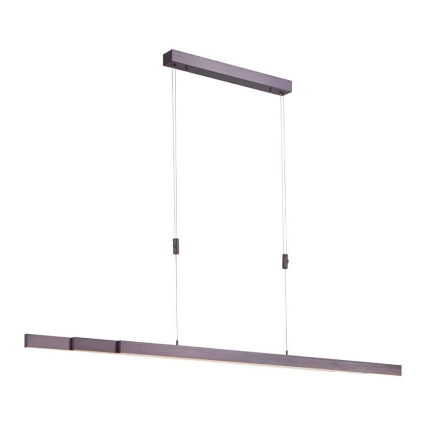 Paul Neuhaus 2568-24 - LED Prigušivi luster na sajli ADRIANA LED/14W/230V 2700-5000K