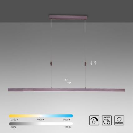 Paul Neuhaus 2568-24 - LED Prigušivi luster na sajli ADRIANA LED/14W/230V 2700-5000K