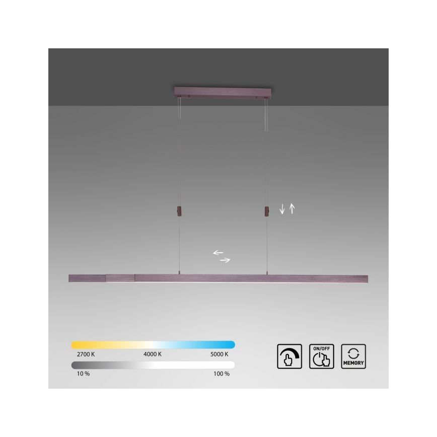 Paul Neuhaus 2568-24 - LED Prigušivi luster na sajli ADRIANA LED/14W/230V 2700-5000K