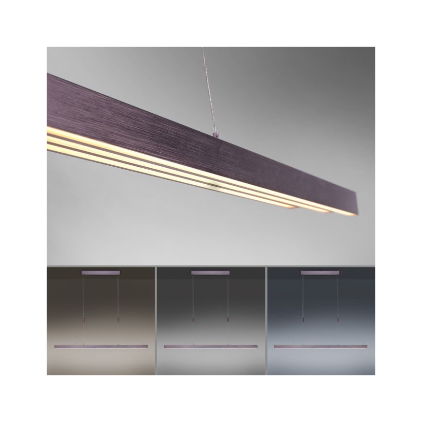 Paul Neuhaus 2568-24 - LED Prigušivi luster na sajli ADRIANA LED/14W/230V 2700-5000K