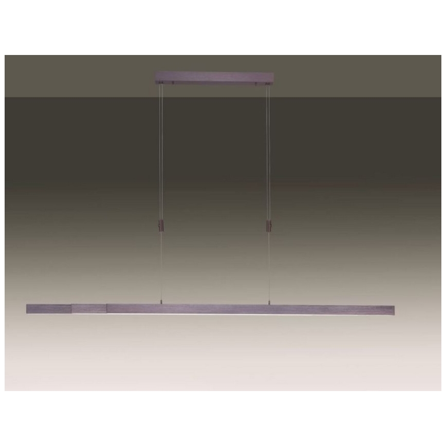Paul Neuhaus 2568-24 - LED Prigušivi luster na sajli ADRIANA LED/14W/230V 2700-5000K