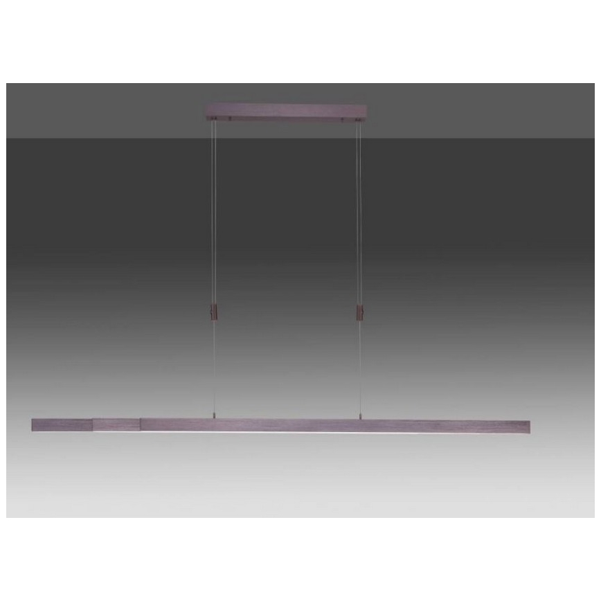 Paul Neuhaus 2568-24 - LED Prigušivi luster na sajli ADRIANA LED/14W/230V 2700-5000K