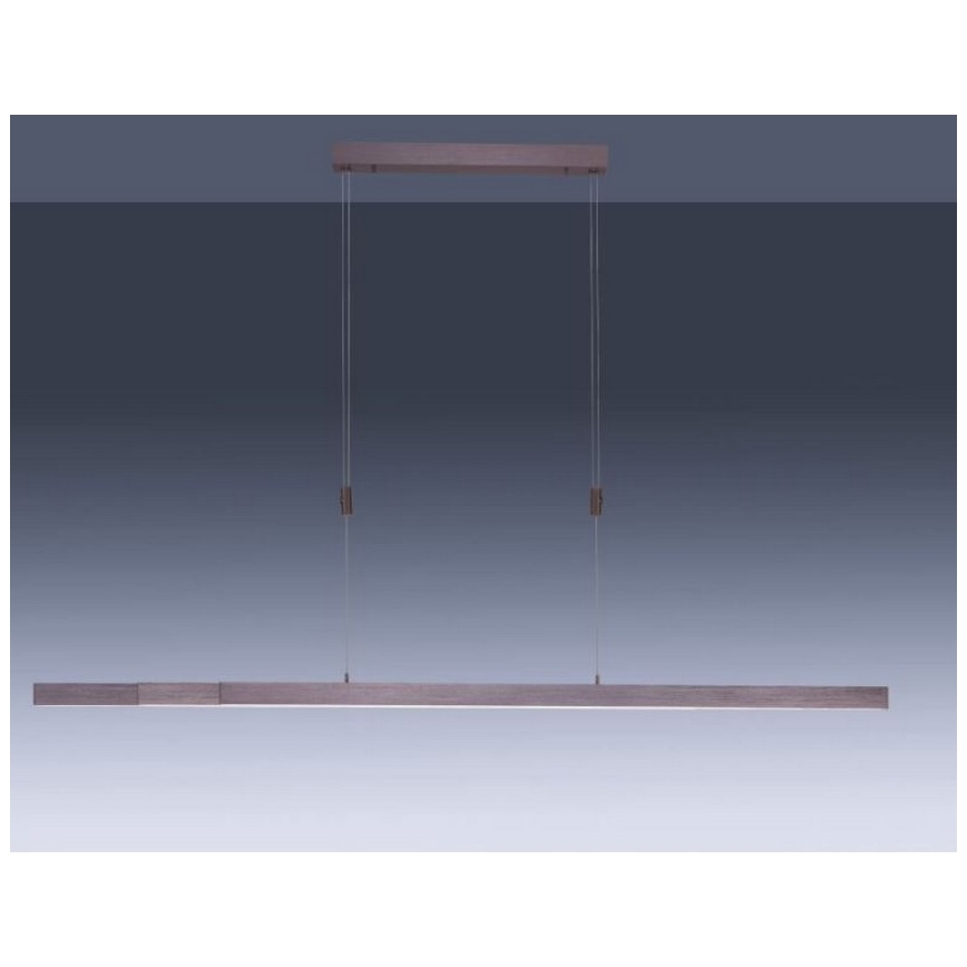 Paul Neuhaus 2568-24 - LED Prigušivi luster na sajli ADRIANA LED/14W/230V 2700-5000K