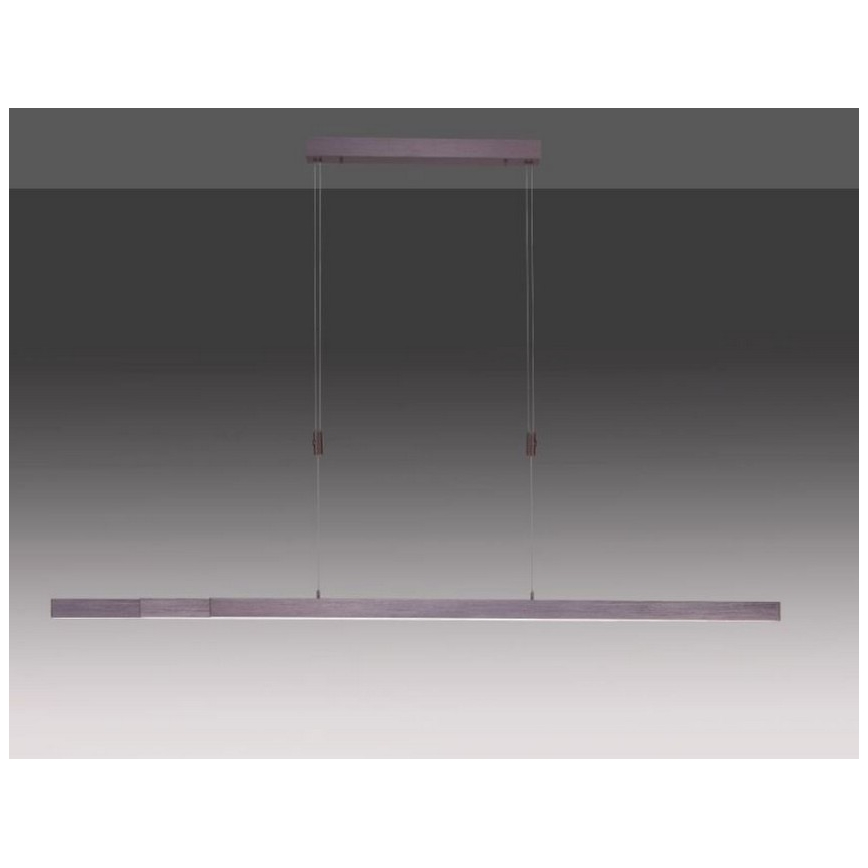 Paul Neuhaus 2568-24 - LED Prigušivi luster na sajli ADRIANA LED/14W/230V 2700-5000K