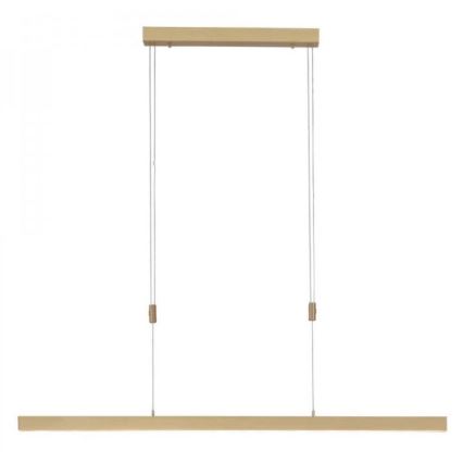 Paul Neuhaus 2568-60 - LED Prigušivi luster na sajli ADRIANA LED/14W/230V  2700-5000K mesing