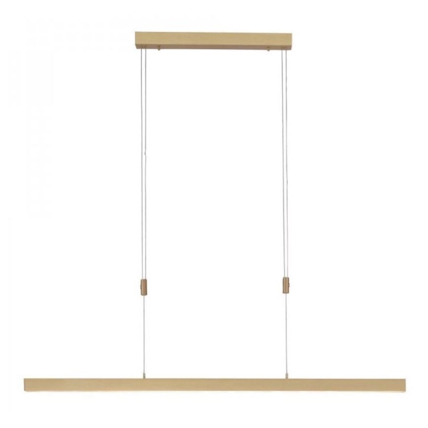 Paul Neuhaus 2568-60 - LED Prigušivi luster na sajli ADRIANA LED/14W/230V  2700-5000K mesing