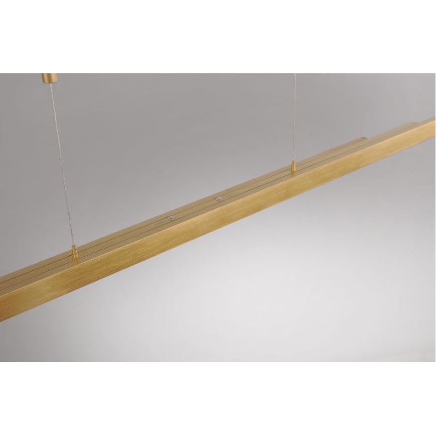 Paul Neuhaus 2568-60 - LED Prigušivi luster na sajli ADRIANA LED/14W/230V  2700-5000K mesing