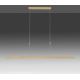Paul Neuhaus 2568-60 - LED Prigušivi luster na sajli ADRIANA LED/14W/230V  2700-5000K mesing