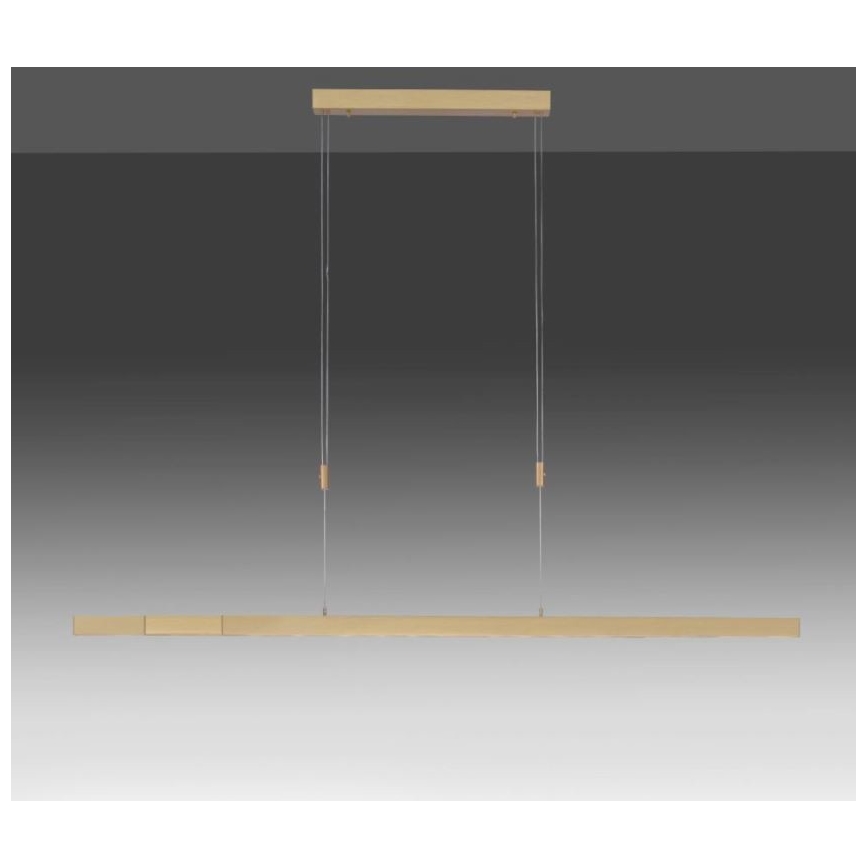 Paul Neuhaus 2568-60 - LED Prigušivi luster na sajli ADRIANA LED/14W/230V  2700-5000K mesing