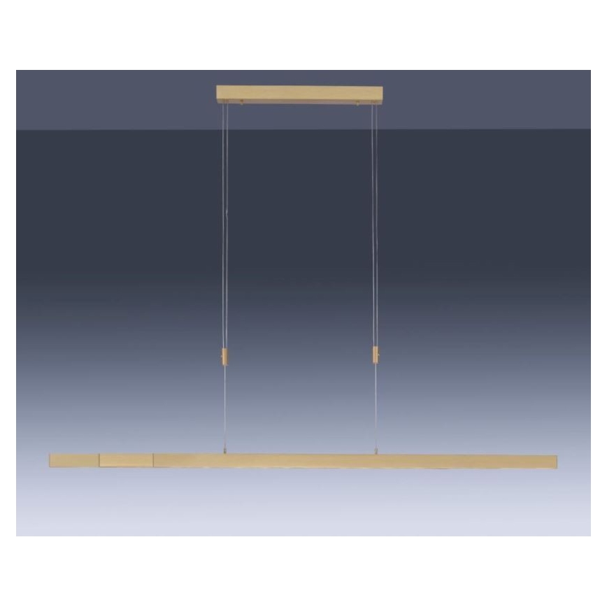 Paul Neuhaus 2568-60 - LED Prigušivi luster na sajli ADRIANA LED/14W/230V  2700-5000K mesing