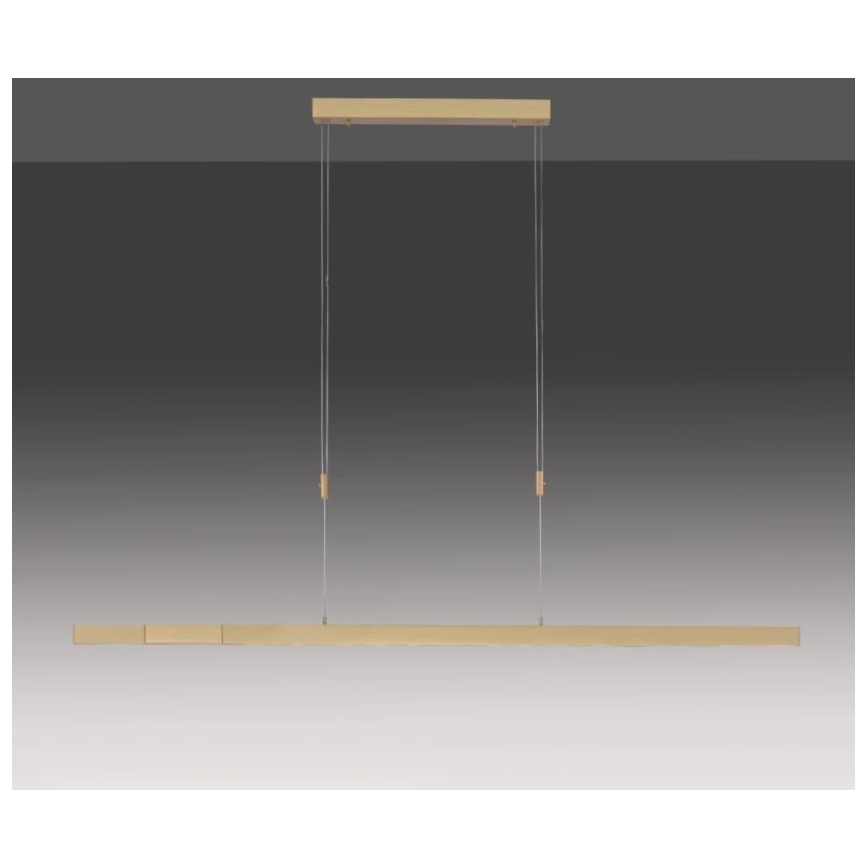 Paul Neuhaus 2568-60 - LED Prigušivi luster na sajli ADRIANA LED/14W/230V  2700-5000K mesing