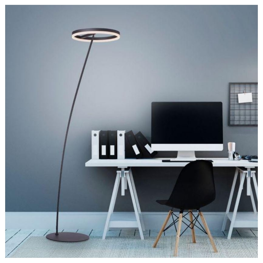 Paul Neuhaus 381-13 - LED Prigušiva podna lampa TITUS LED/19,5W/230V