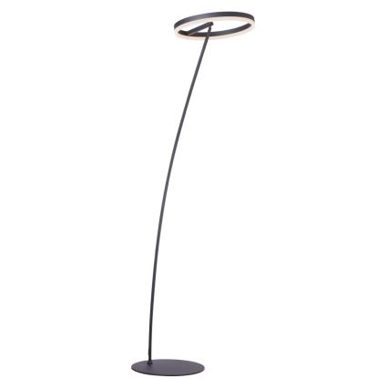 Paul Neuhaus 381-13 - LED Prigušiva podna lampa TITUS LED/19,5W/230V