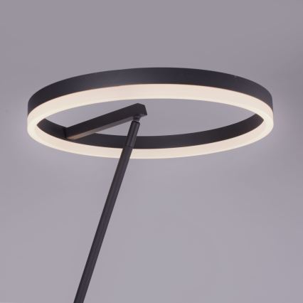 Paul Neuhaus 381-13 - LED Prigušiva podna lampa TITUS LED/19,5W/230V