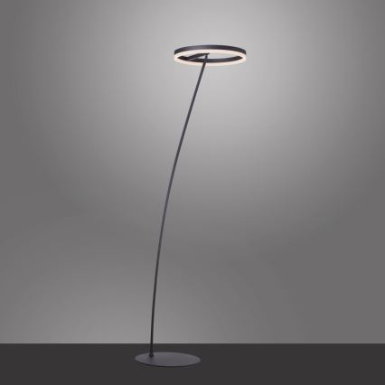 Paul Neuhaus 381-13 - LED Prigušiva podna lampa TITUS LED/19,5W/230V