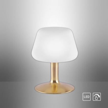 Paul Neuhaus 4078-60 - LED Prigušiva stolna lampa na dodir TILL 1xG9/3W/230V mesing