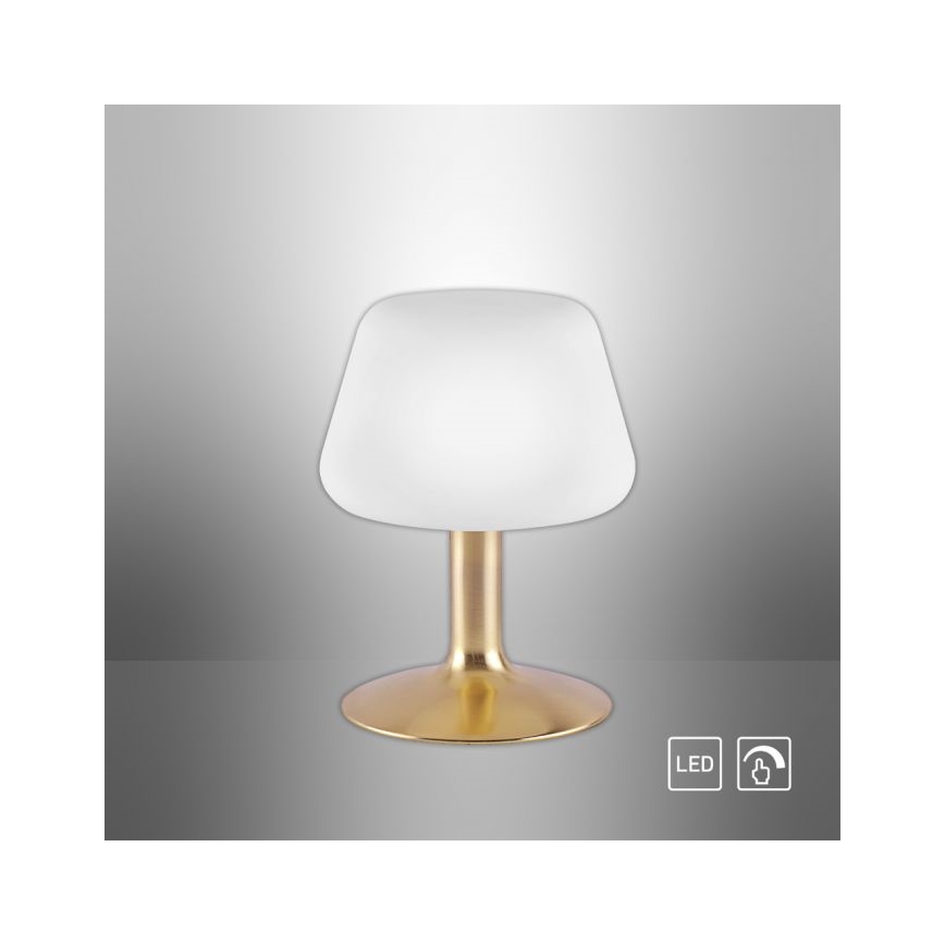 Paul Neuhaus 4078-60 - LED Prigušiva stolna lampa na dodir TILL 1xG9/3W/230V mesing