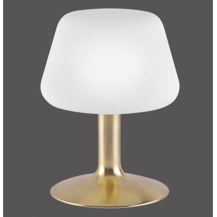 Paul Neuhaus 4078-60 - LED Prigušiva stolna lampa na dodir TILL 1xG9/3W/230V mesing