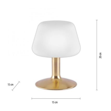 Paul Neuhaus 4078-60 - LED Prigušiva stolna lampa na dodir TILL 1xG9/3W/230V mesing