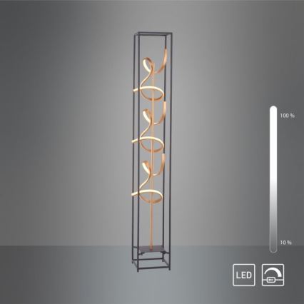 Paul Neuhaus 415-18 - LED Prigušiva podna lampa SELINA 3xLED/10,2W/230V
