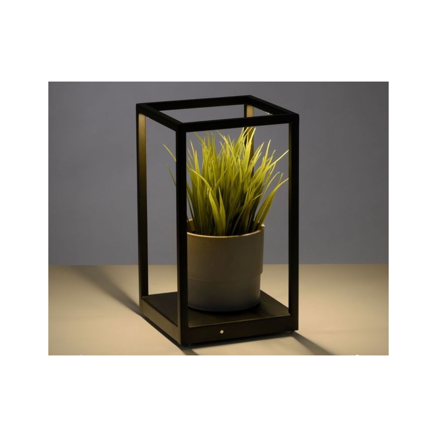 Paul Neuhaus 4401-18 - LED Prigušiva stolna lampa CONTURA 2xLED/2,2W/230V