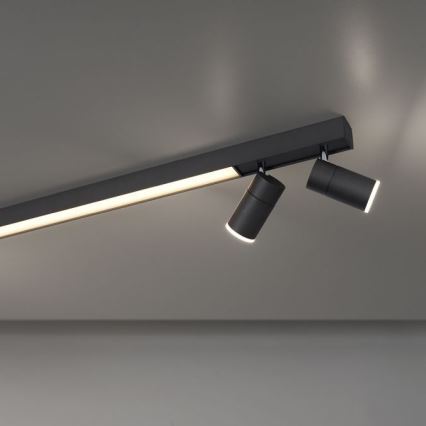 Paul Neuhaus 6121-13 - LED Prigušiva reflektorska svjetiljka PURE 4xLED/4W/230V + LED/9W 2700-5000K + daljinski upravljač