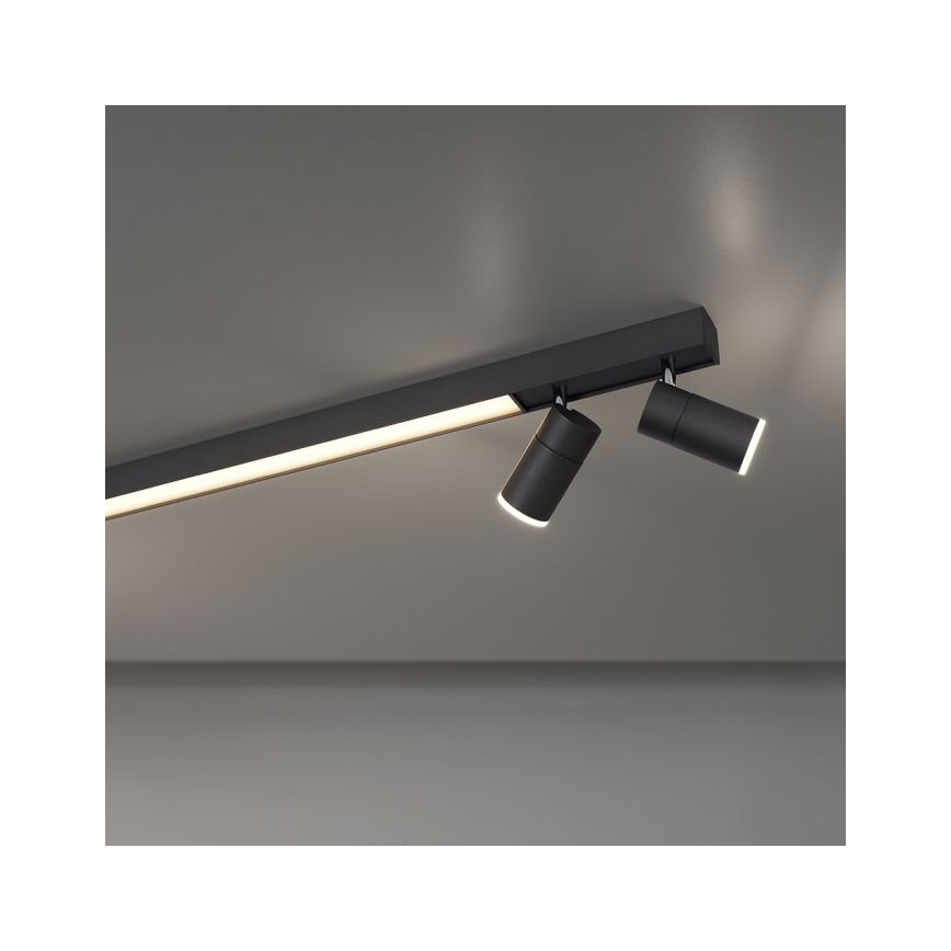 Paul Neuhaus 6121-13 - LED Prigušiva reflektorska svjetiljka PURE 4xLED/4W/230V + LED/9W 2700-5000K + daljinski upravljač