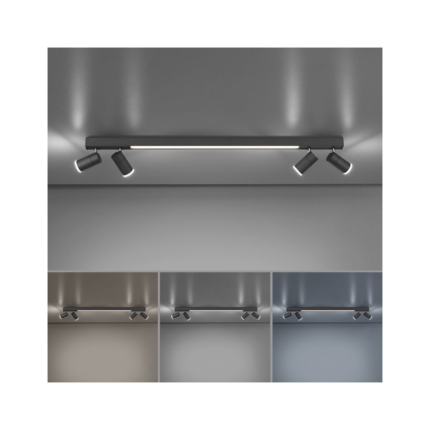 Paul Neuhaus 6121-13 - LED Prigušiva reflektorska svjetiljka PURE 4xLED/4W/230V + LED/9W 2700-5000K + daljinski upravljač