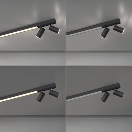 Paul Neuhaus 6121-13 - LED Prigušiva reflektorska svjetiljka PURE 4xLED/4W/230V + LED/9W 2700-5000K + daljinski upravljač