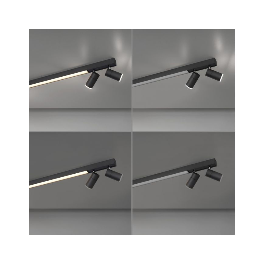 Paul Neuhaus 6121-13 - LED Prigušiva reflektorska svjetiljka PURE 4xLED/4W/230V + LED/9W 2700-5000K + daljinski upravljač