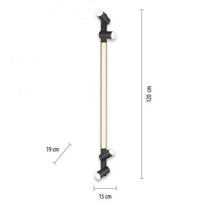 Paul Neuhaus 6121-13 - LED prigušivačka za ugradbene reflektore PURE 4xLED/4W/230V + LED/9W 2700-5000K + daljinski upravljač
