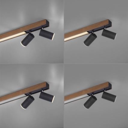 Paul Neuhaus 6121-79 - LED prigušivačka za ugradbene reflektore PURE 4xLED/4W/230V + LED/9W 2700-5000K + daljinski upravljač