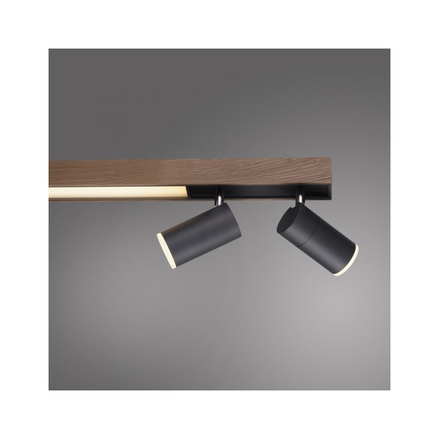 Paul Neuhaus 6121-79 - LED prigušivačka za ugradbene reflektore PURE 4xLED/4W/230V + LED/9W 2700-5000K + daljinski upravljač