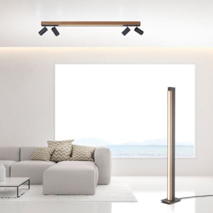 Paul Neuhaus 6121-79 - LED Prigušiva reflektorska svjetiljka PURE 4xLED/4W/230V + LED/9W 2700-5000K + daljinski upravljač