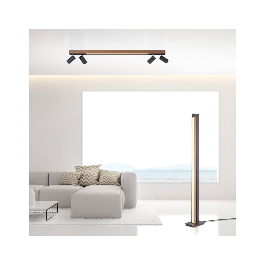 Paul Neuhaus 6121-79 - LED Prigušiva reflektorska svjetiljka PURE 4xLED/4W/230V + LED/9W 2700-5000K + daljinski upravljač