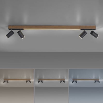Paul Neuhaus 6121-79 - LED Prigušiva reflektorska svjetiljka PURE 4xLED/4W/230V + LED/9W 2700-5000K + daljinski upravljač