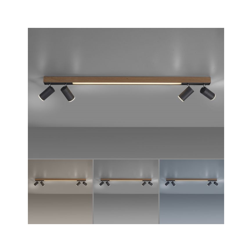 Paul Neuhaus 6121-79 - LED Prigušiva reflektorska svjetiljka PURE 4xLED/4W/230V + LED/9W 2700-5000K + daljinski upravljač