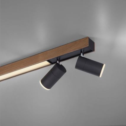 Paul Neuhaus 6121-79 - LED Prigušiva reflektorska svjetiljka PURE 4xLED/4W/230V + LED/9W 2700-5000K + daljinski upravljač