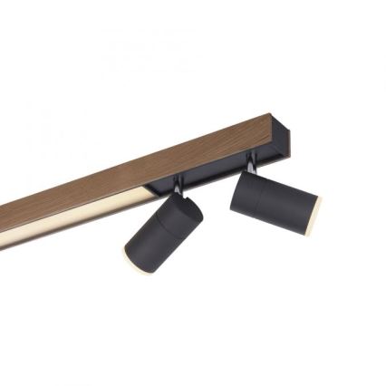 Paul Neuhaus 6121-79 - LED Prigušiva reflektorska svjetiljka PURE 4xLED/4W/230V + LED/9W 2700-5000K + daljinski upravljač