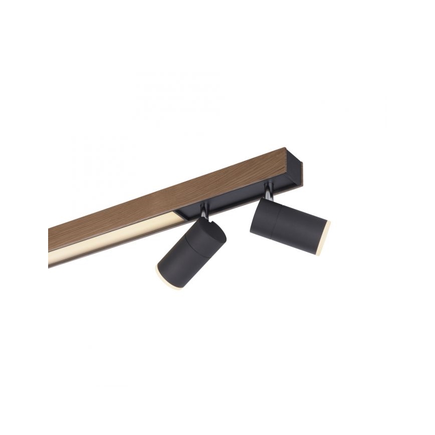 Paul Neuhaus 6121-79 - LED Prigušiva reflektorska svjetiljka PURE 4xLED/4W/230V + LED/9W 2700-5000K + daljinski upravljač