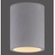 Paul Neuhaus 6160-22 - Reflektorska svjetiljka ETON 1xGU10/10W/230V