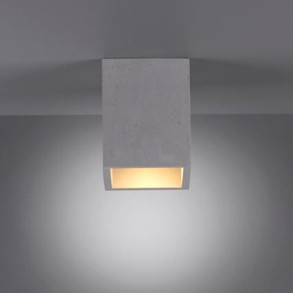 Paul Neuhaus 6161-22 - Reflektorska svjetiljka ETON 1xGU10/10W/230V beton