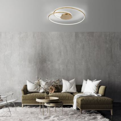 Paul Neuhaus 6189-12 - LED Prigušiva stropna svjetiljka NASTRO LED/26W/230V