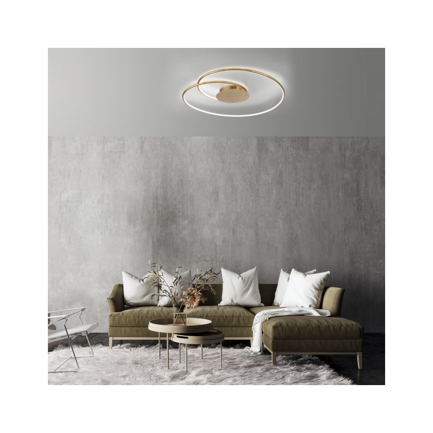 Paul Neuhaus 6189-12 - LED Prigušiva stropna svjetiljka NASTRO LED/26W/230V